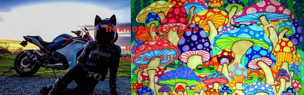 марки lsd Медногорск