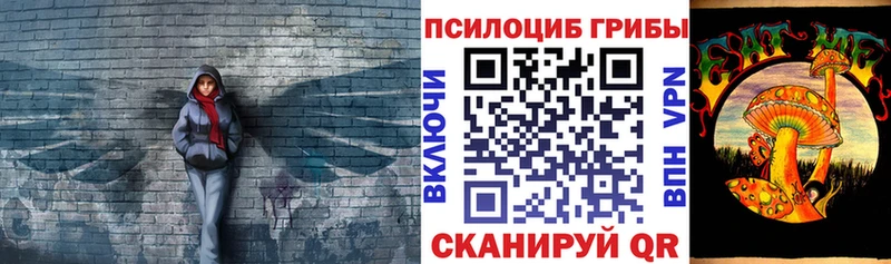 Псилоцибиновые грибы прущие грибы Купить Алзамай